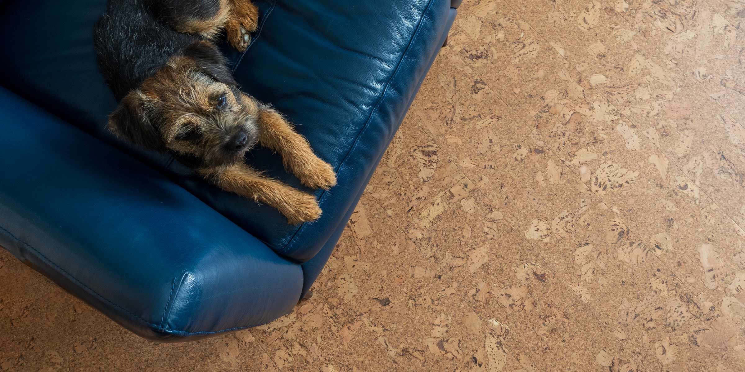 Cortejo - Luxury Cork Flooring