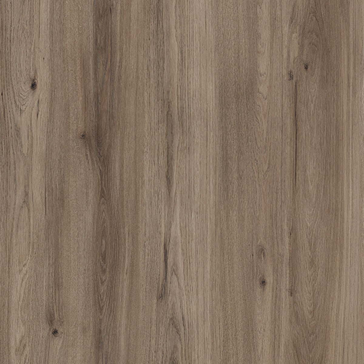 Amorim / Wicanders Cork Flooring - Quartz Oak