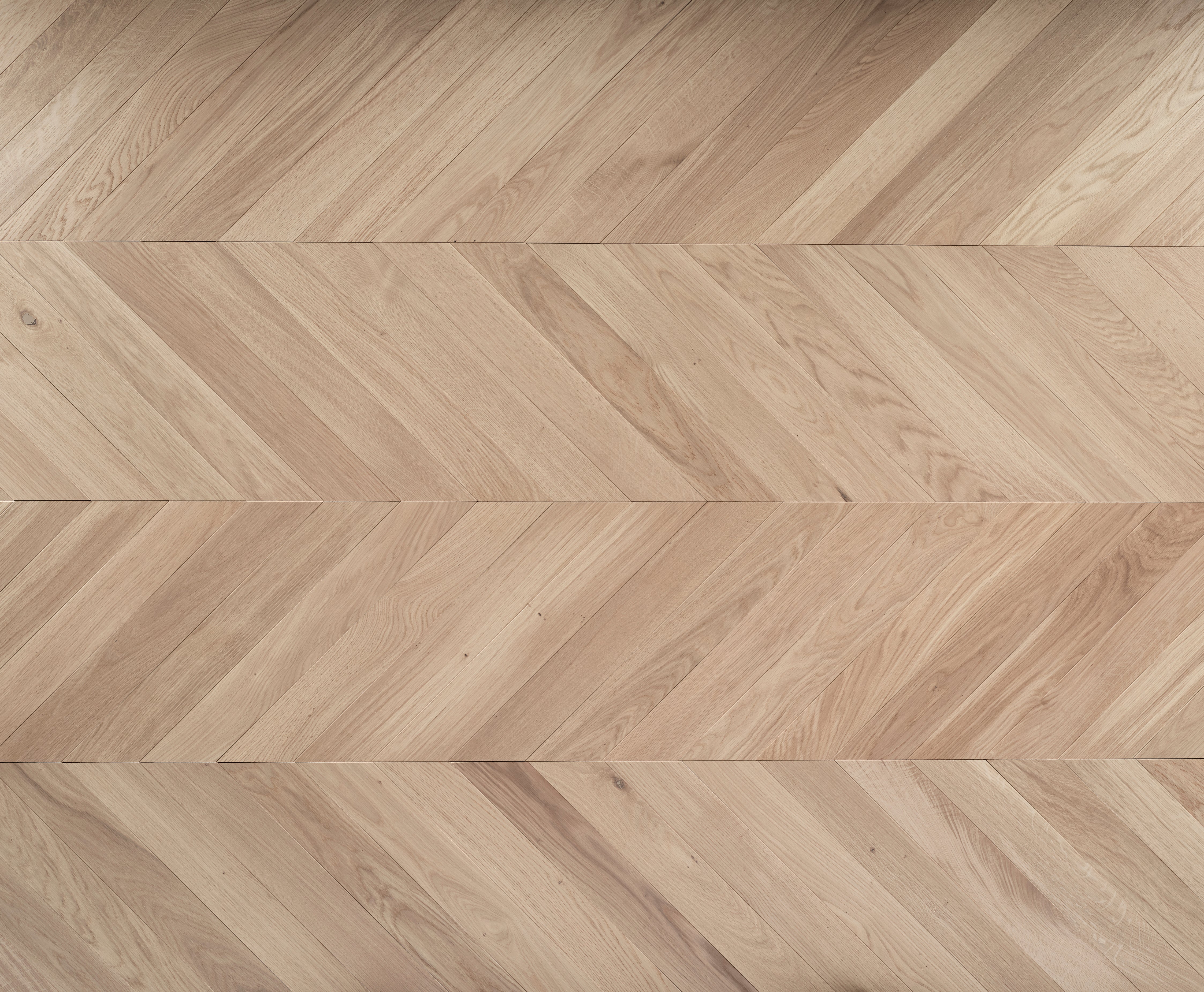 Tundra Seashell Chevron Wooden floor