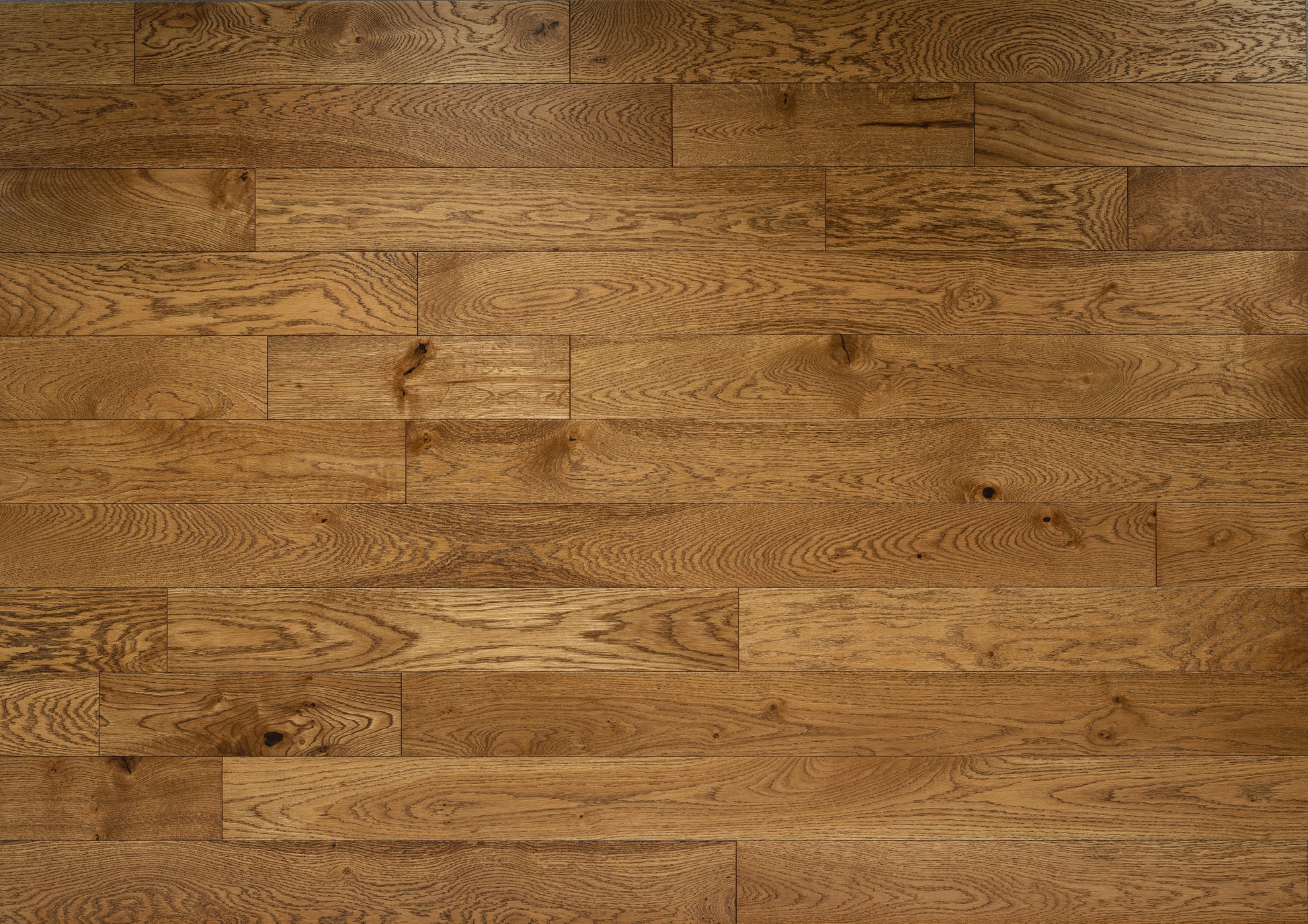 Alpine Golden Oak wood floors