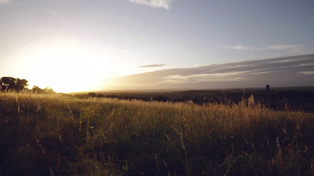The horizon looks good with the new Landscapes wood floor collection