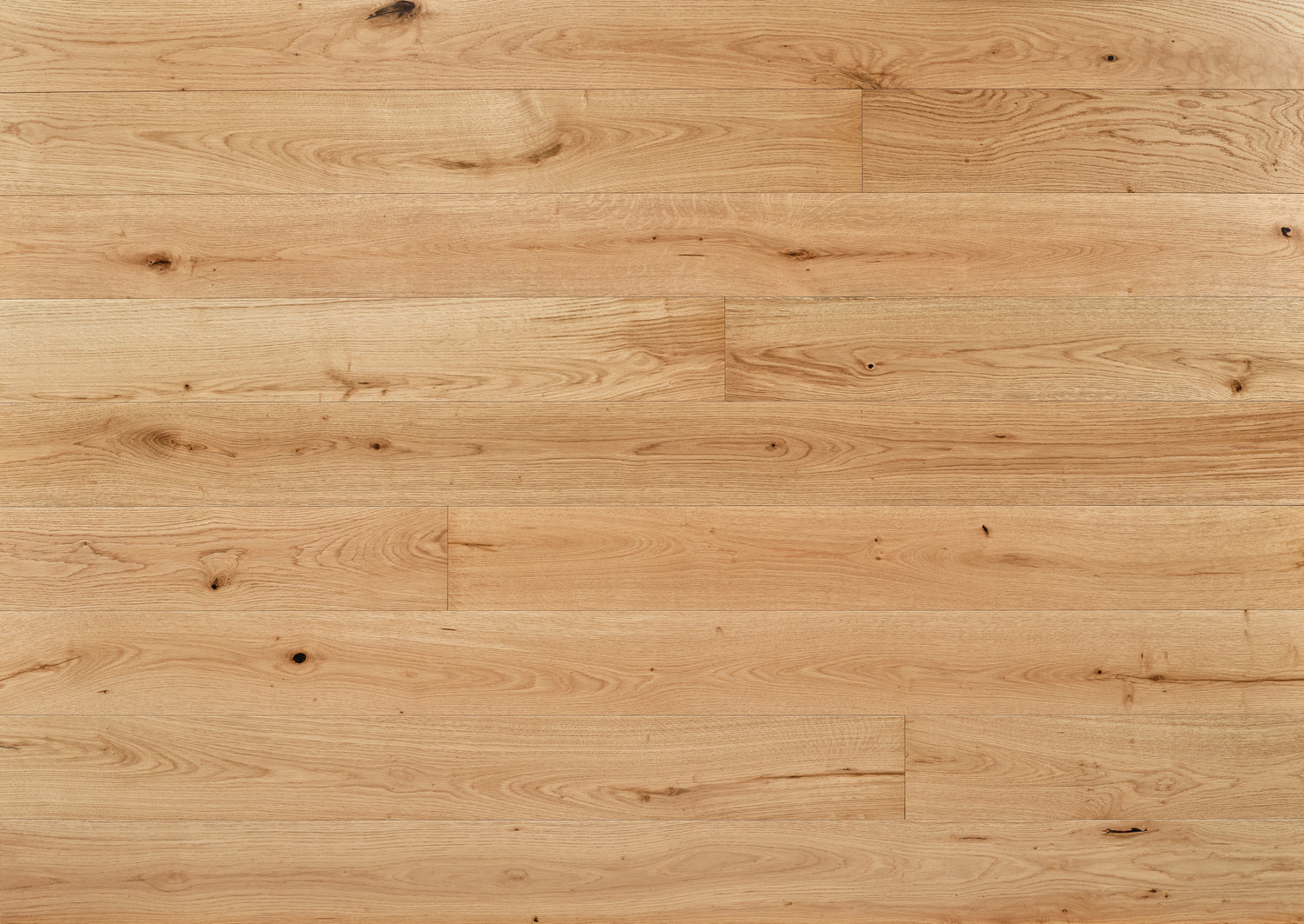 Upland Oak
