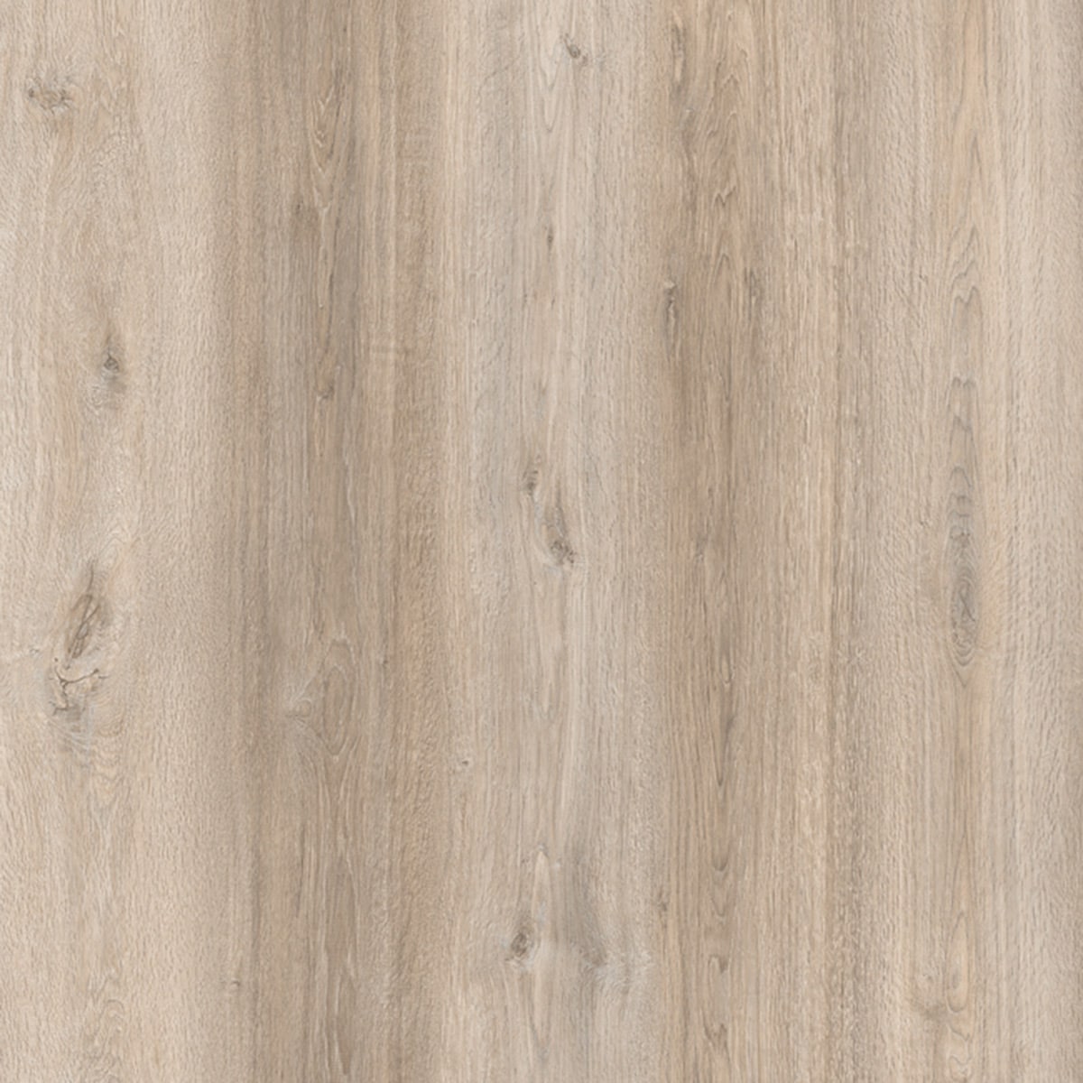 Amorim / Wicanders Cork Flooring - Ocean Oak (Glue Down)