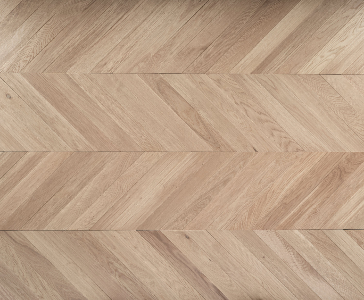Tundra Seashell Chevron Wooden floor 