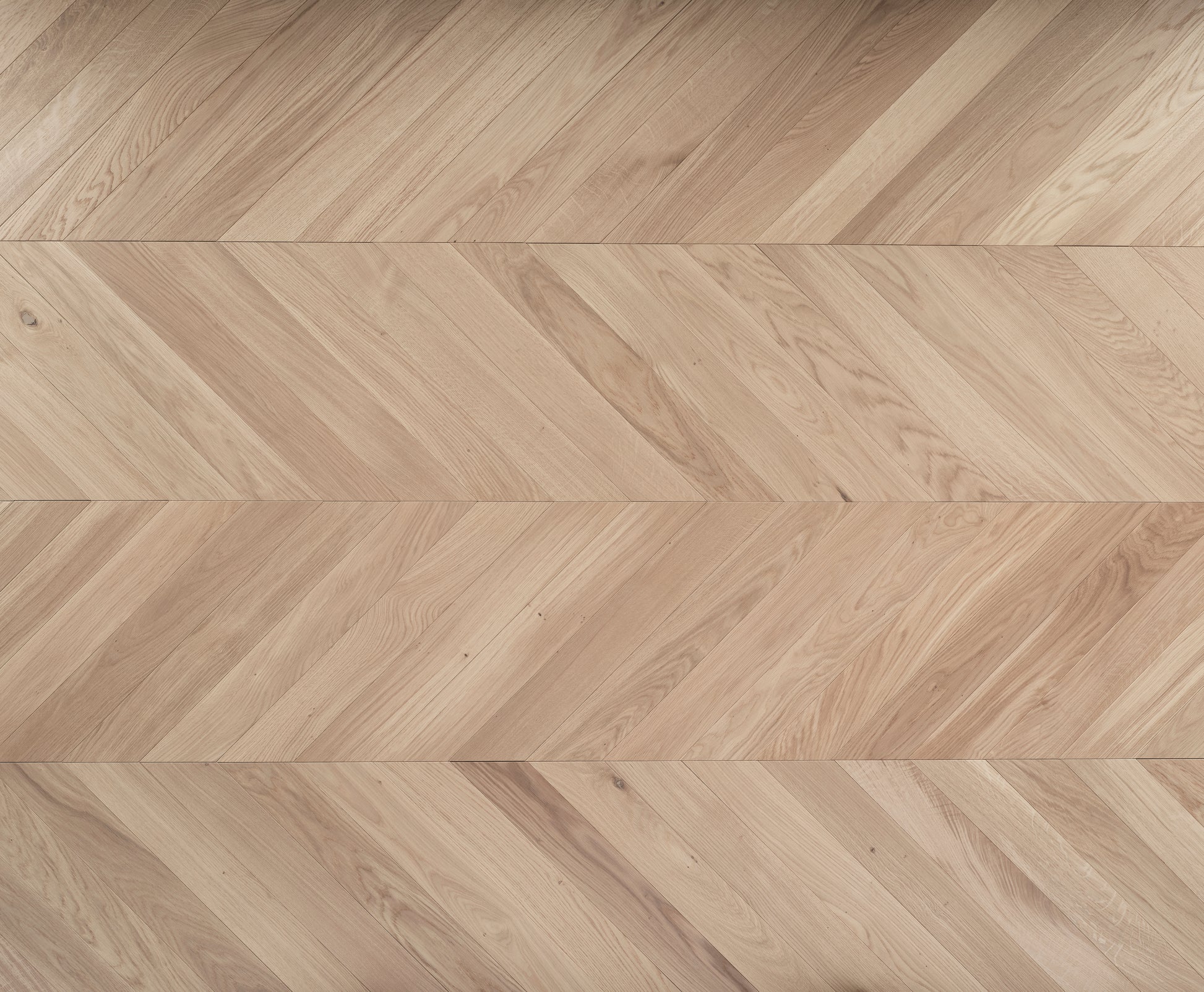 Tundra Seashell Chevron Wooden floor 
