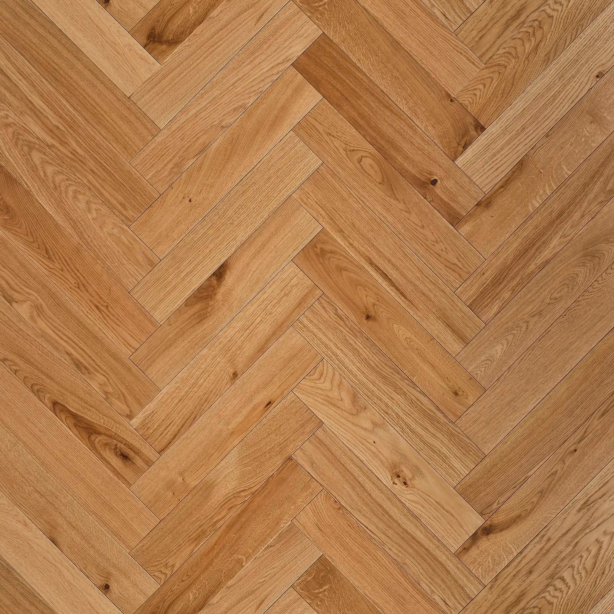 Pacamera