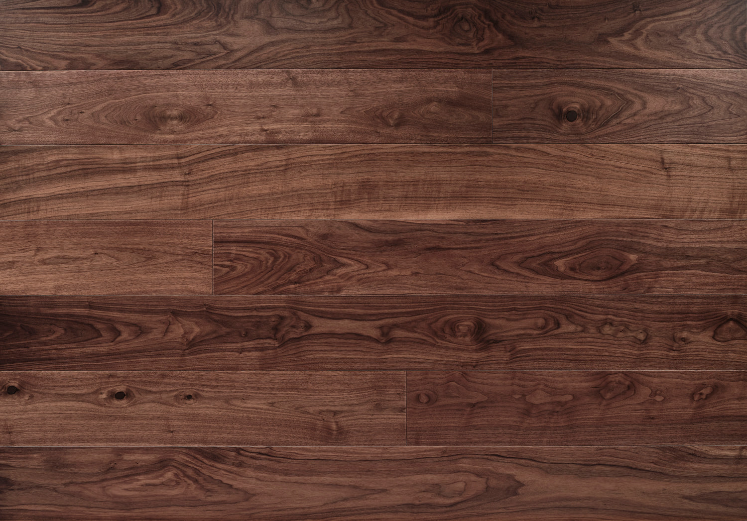 American Black Walnut