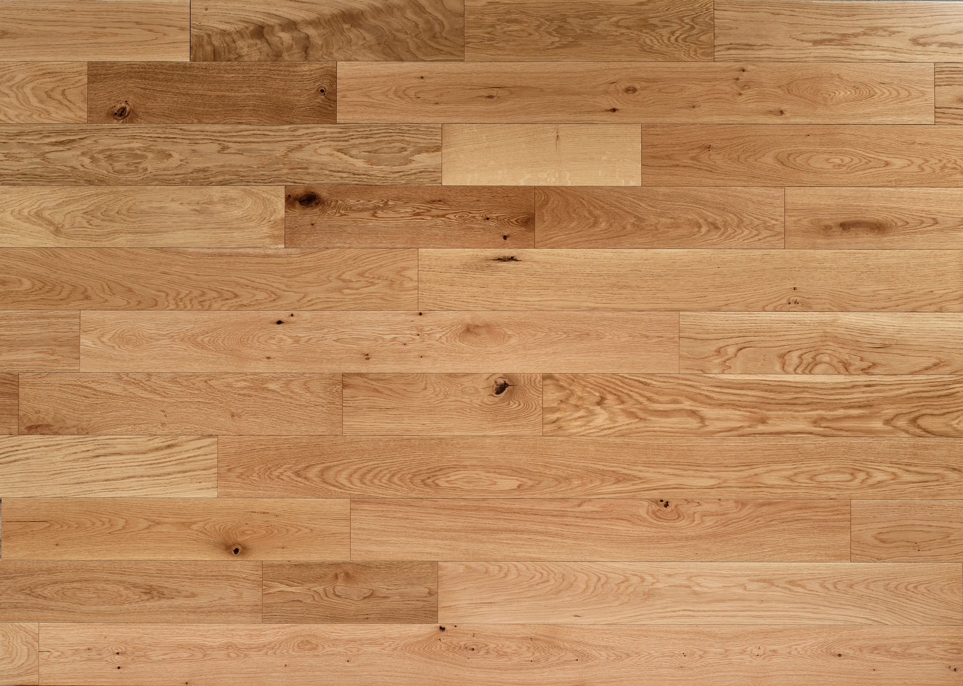 Alpine Sunlit Oak engineered planks