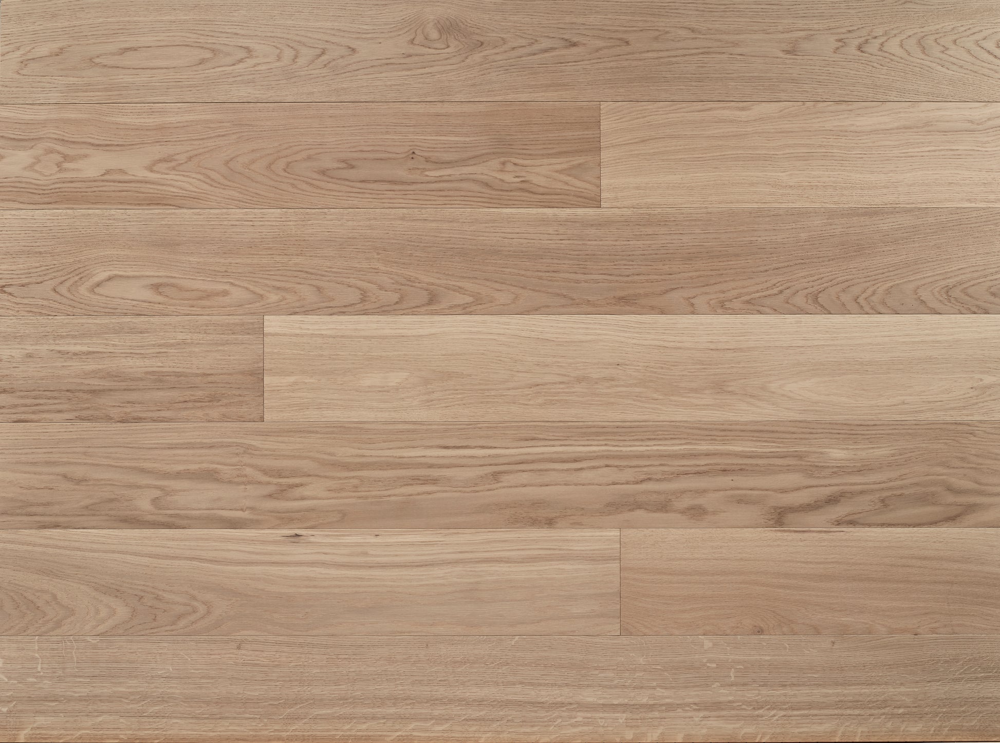 Tundra Seashell wood planks