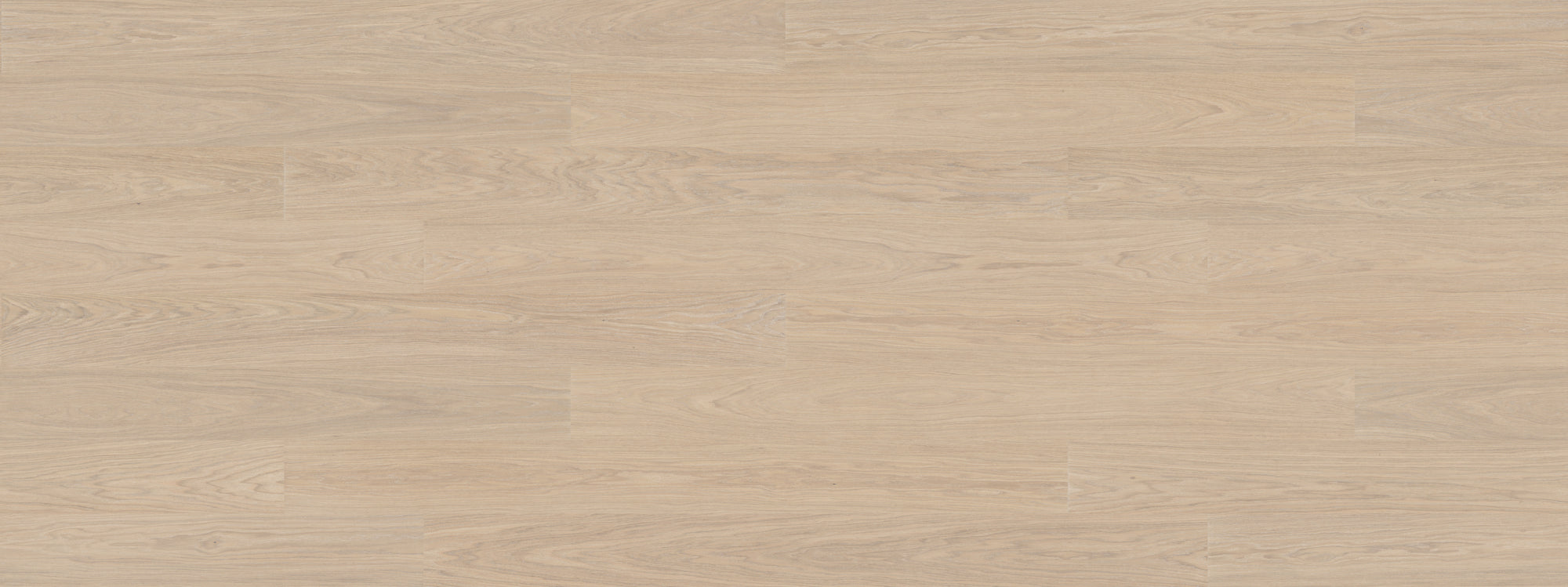 Powder White Oak