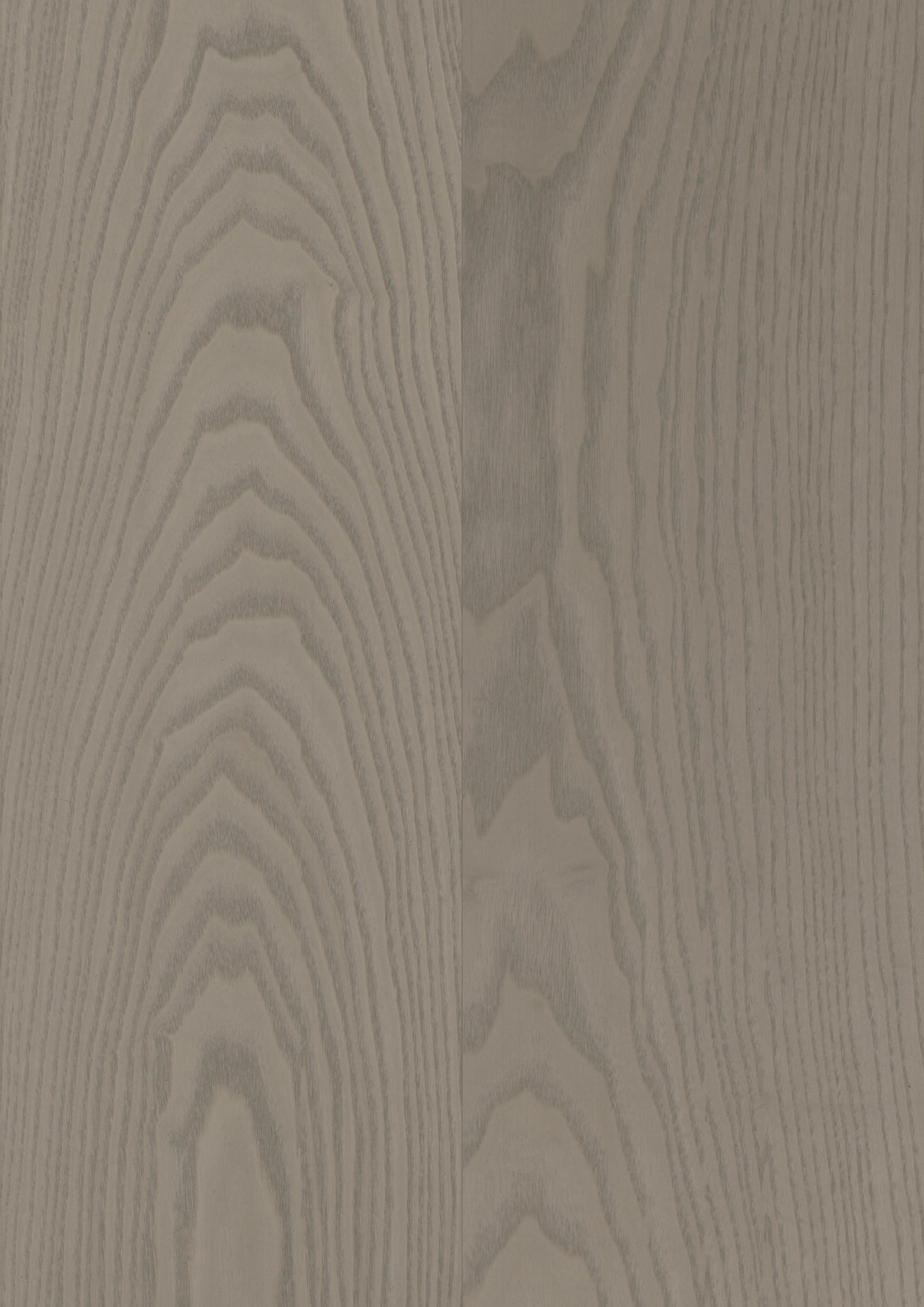 Earth Grey Ash
