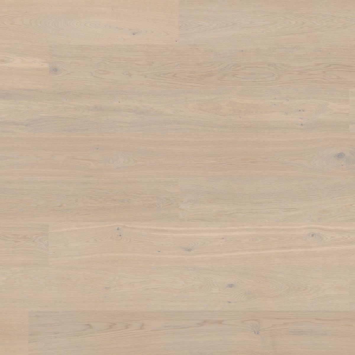 Dalby - Powder White Rustic Oak XL