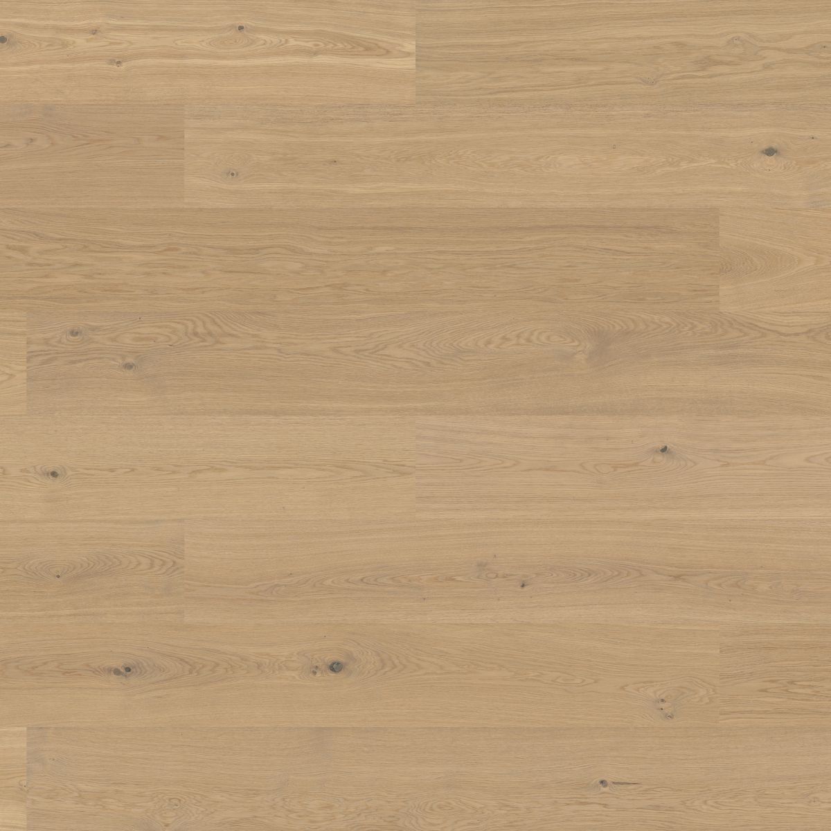 Hasslarp - Misty White Rustic Oak XXL