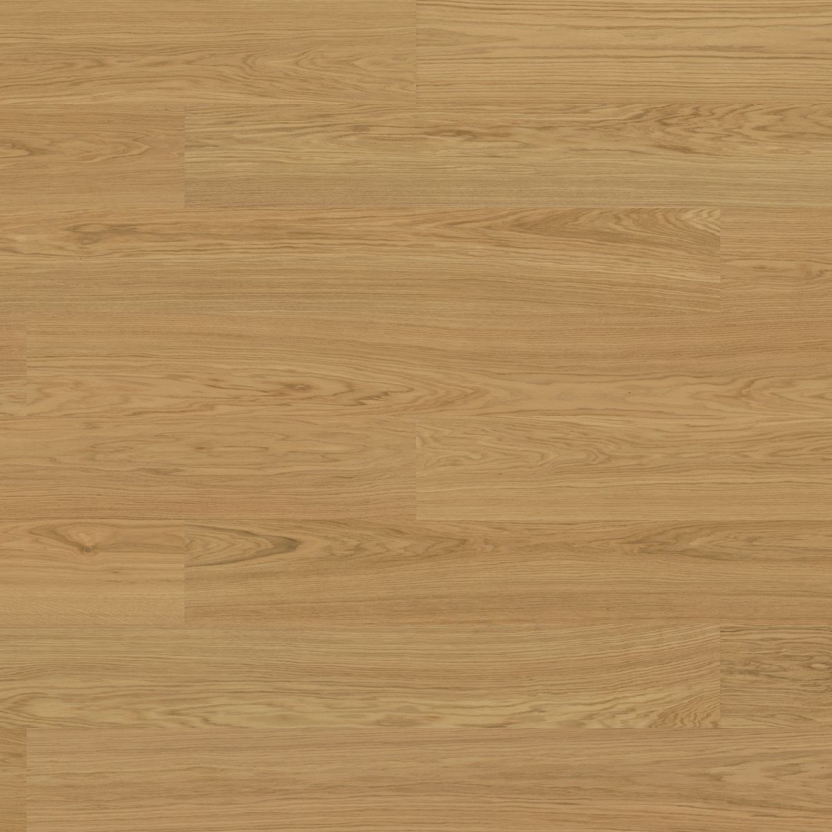 Norrlia - Natural Select Oak XXL