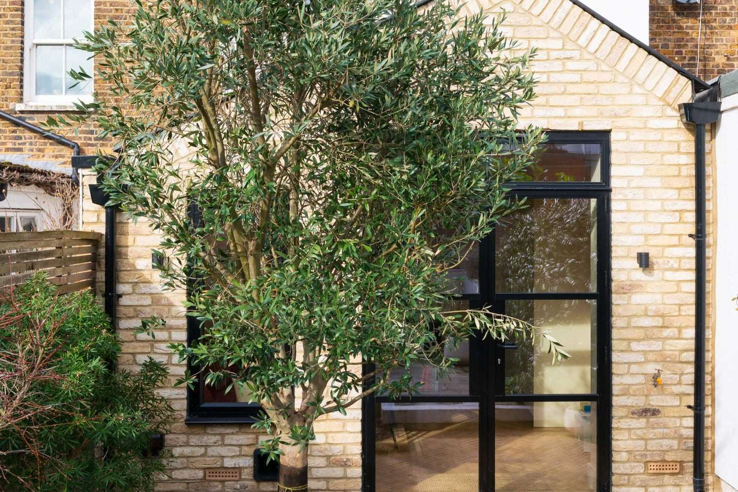 extension on a Victorian terrace house