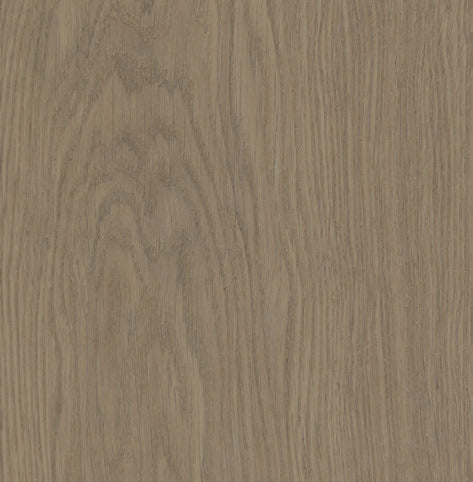 Misty White Oak