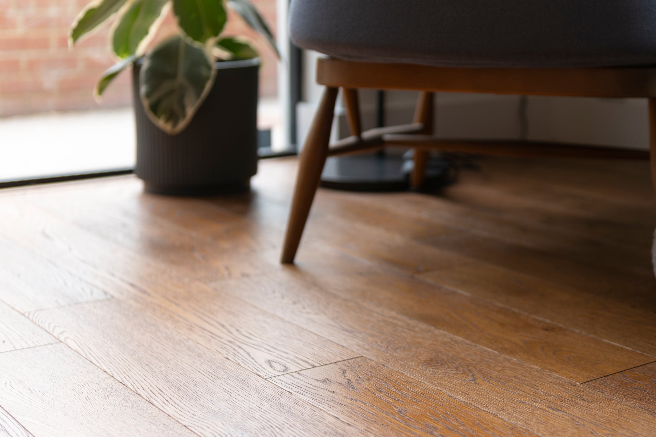 a warm golden tones oak wood floor with green plank in a pot