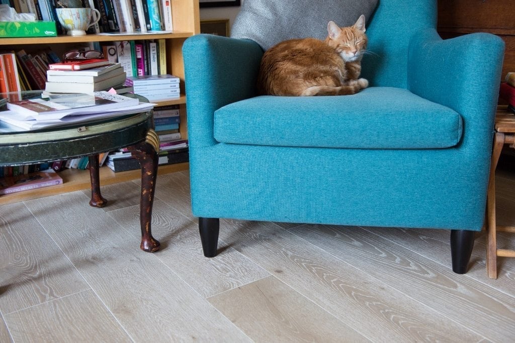 sleeping ginger cat on a blue arm chair in a living room with light nordic wood flooring