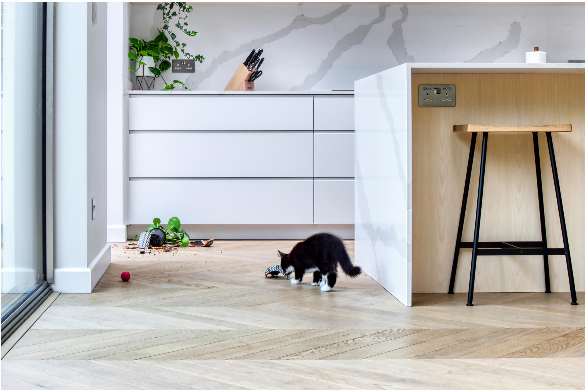 small black cat on oak floor