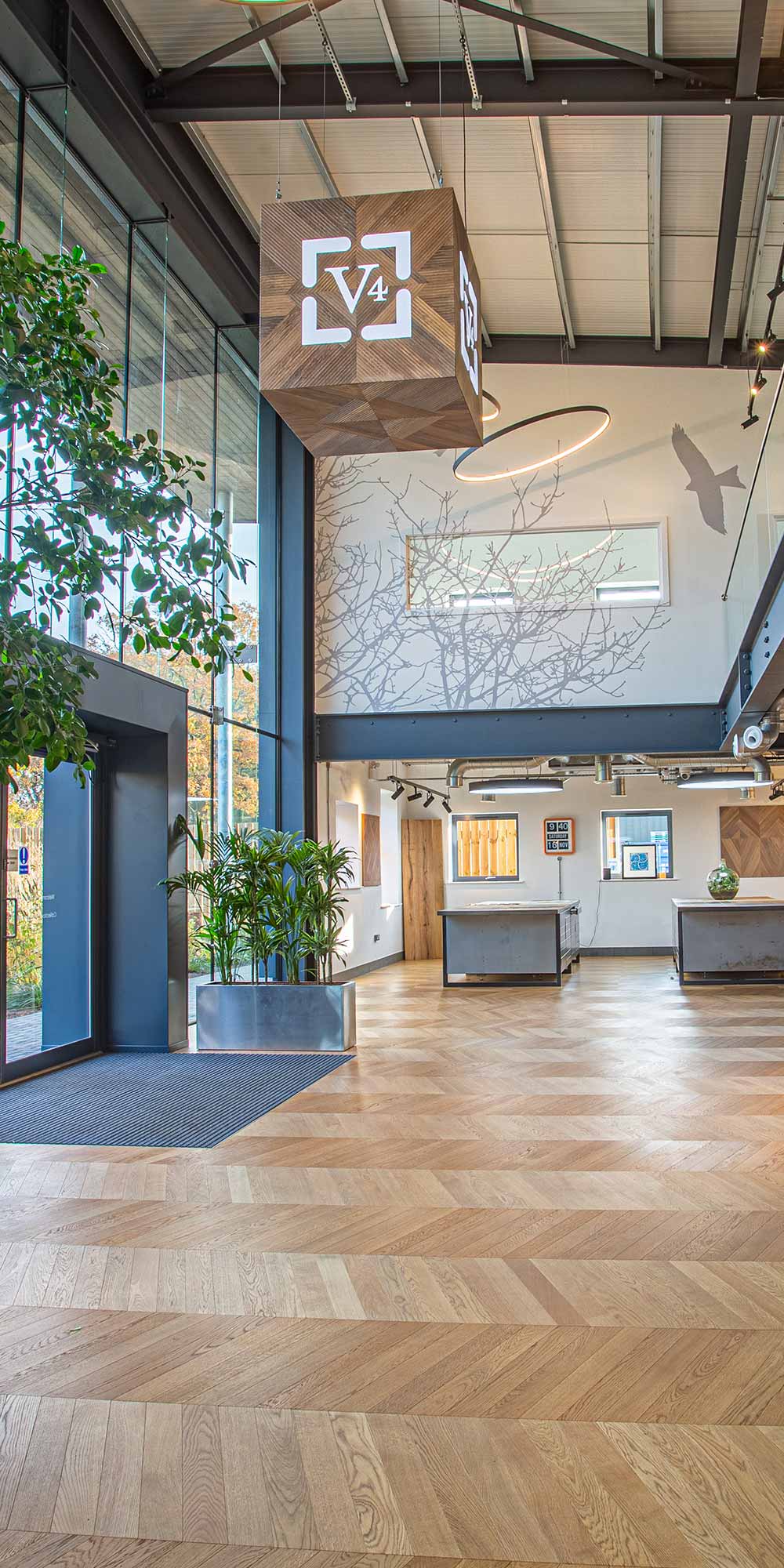 interior of V4 offices, natural light, big windows, oak floors