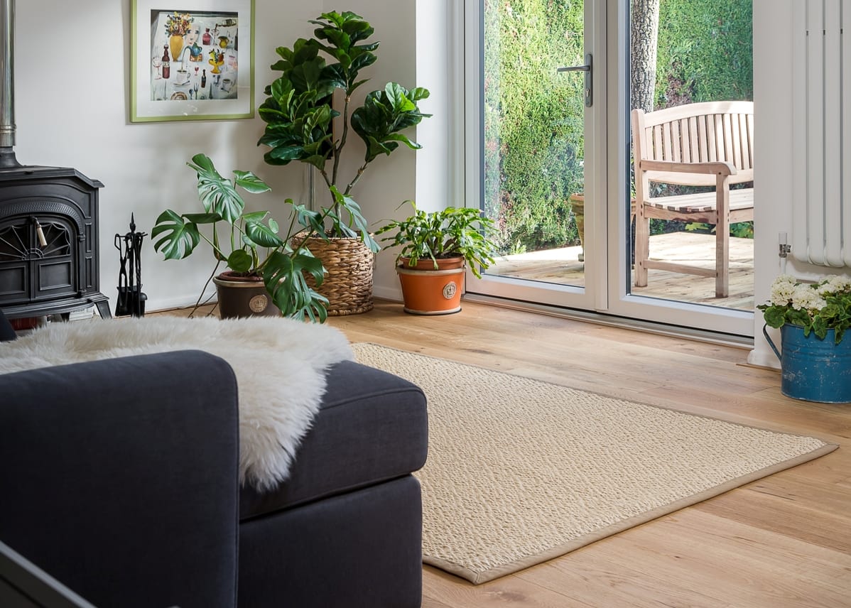 oak wood floors in a sunny living room with plants and a navy blue sofa